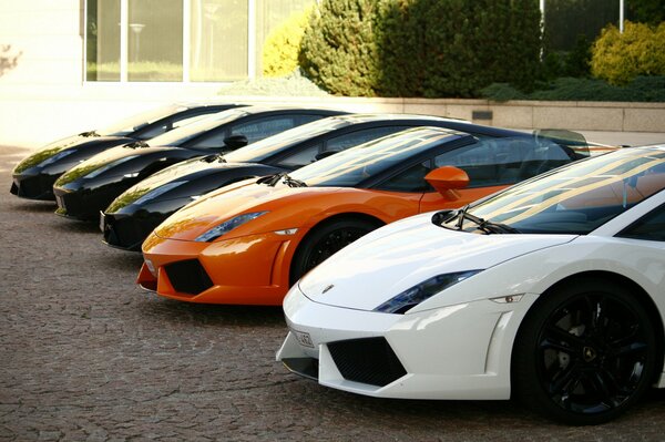 Collection Lamborghini devant