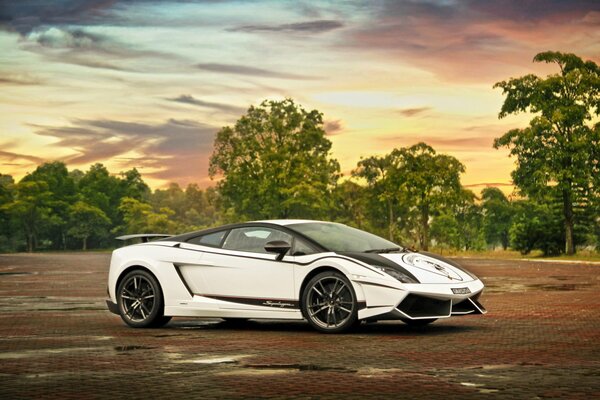 Białe Lamborghini Superleggera na tle drzew i nieba