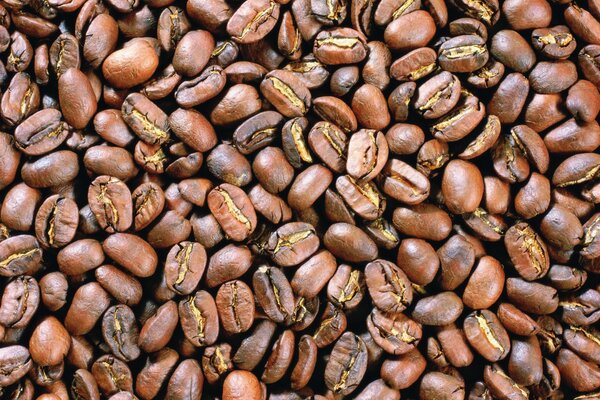 Background of fragrant coffee beans