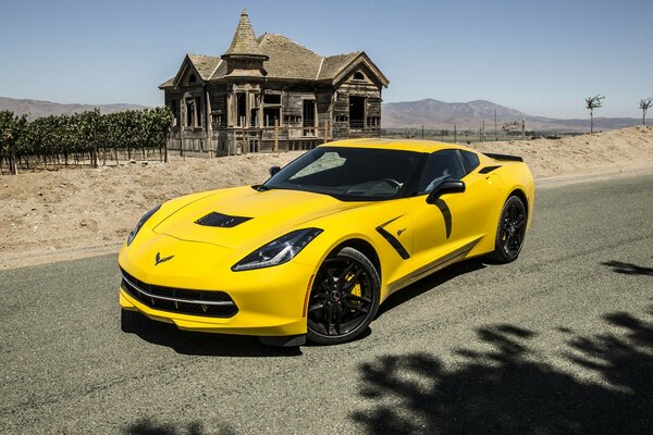 Yellow-lemon Stingray on the background of an old wooden house