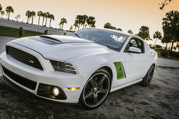 Ford Mustang blanche neige sur fond de palmiers et coucher de soleil