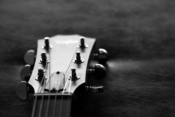 Black and white photo of guitar neck