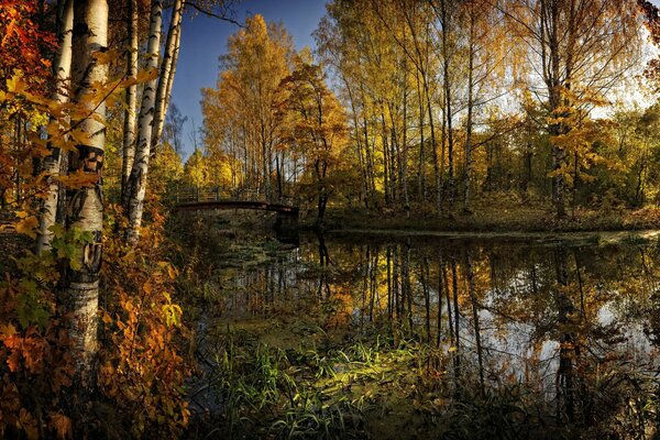 Piękna przyroda jesiennych czasów