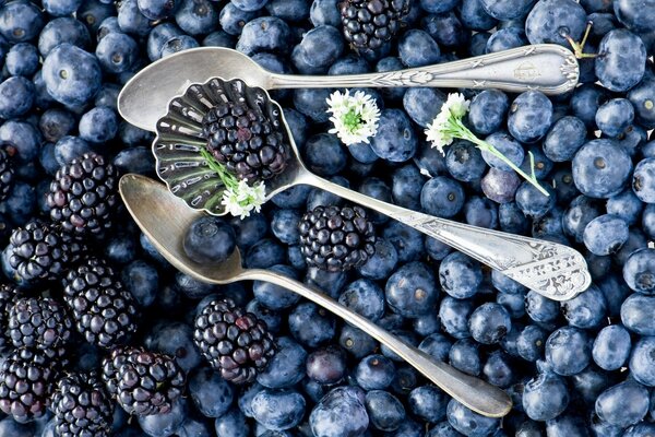 Köstliche Blaubeeren und Beeren , Brombeeren mit schönen Blumen auf Löffeln