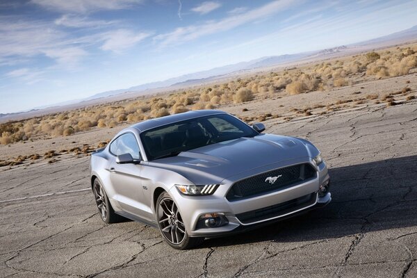 Silver Ford Mustang on the horizon