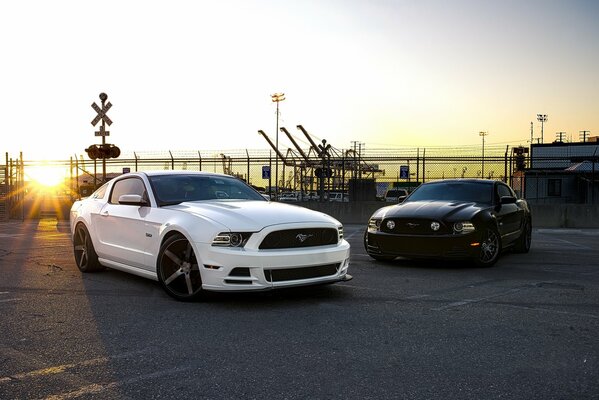 Coches blancos y negros al atardecer