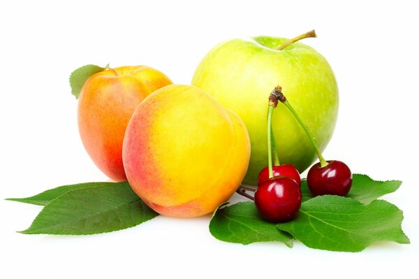 A set of fruit and berries with mint