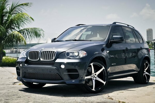 On the seashore by the palm tree there is a bmw x5 car