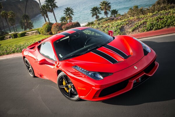 Ferrari rojo en el césped con palmeras