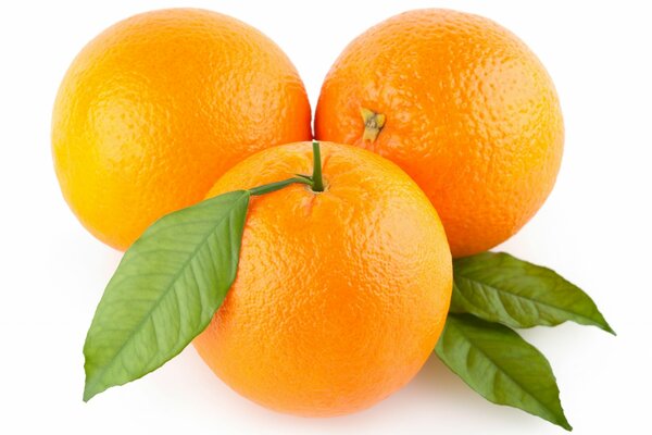 Trois oranges sur fond blanc