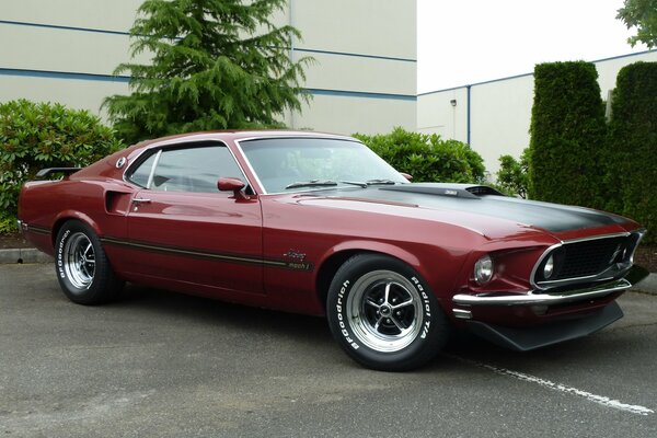 Red Ford Mustang in the parking lot