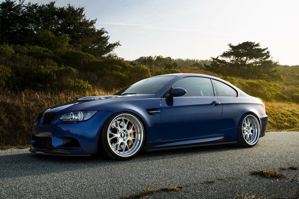 Bmw m3 color lagoon - blue side view on a background of green plants