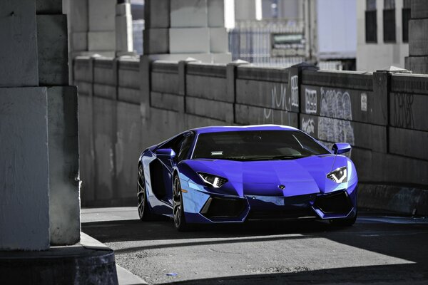 L auto blu di Lamborghini si trova sulla strada