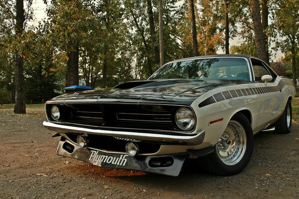 Retro car in autumn colors background