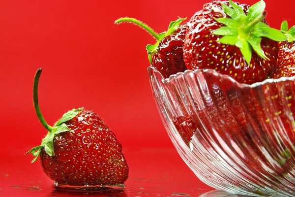 Fraises dans un vase transparent sur fond rouge