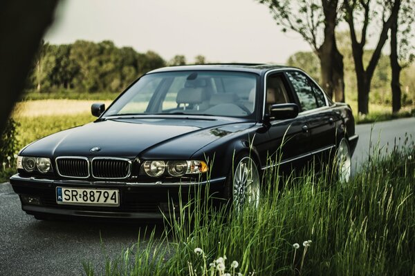 Photo of a black boomer on the highway against the background of green grass and trees