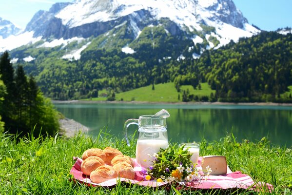 Brocca di latte pane per picnic all aperto