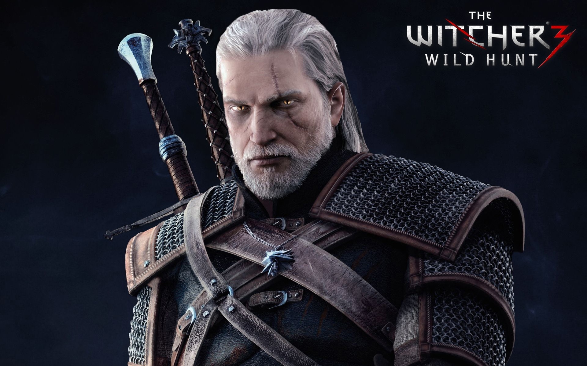 guerriero witcher