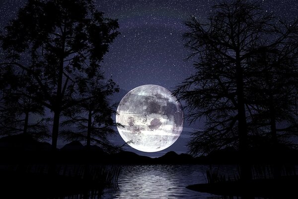 Full moon in the forest above the water