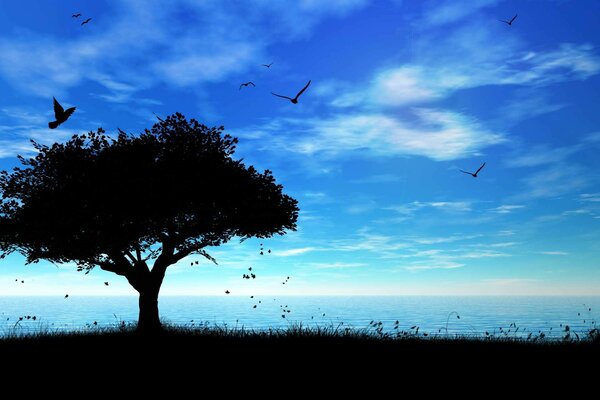 Uccelli che volano sopra un albero all ombra, all alba, in riva al mare