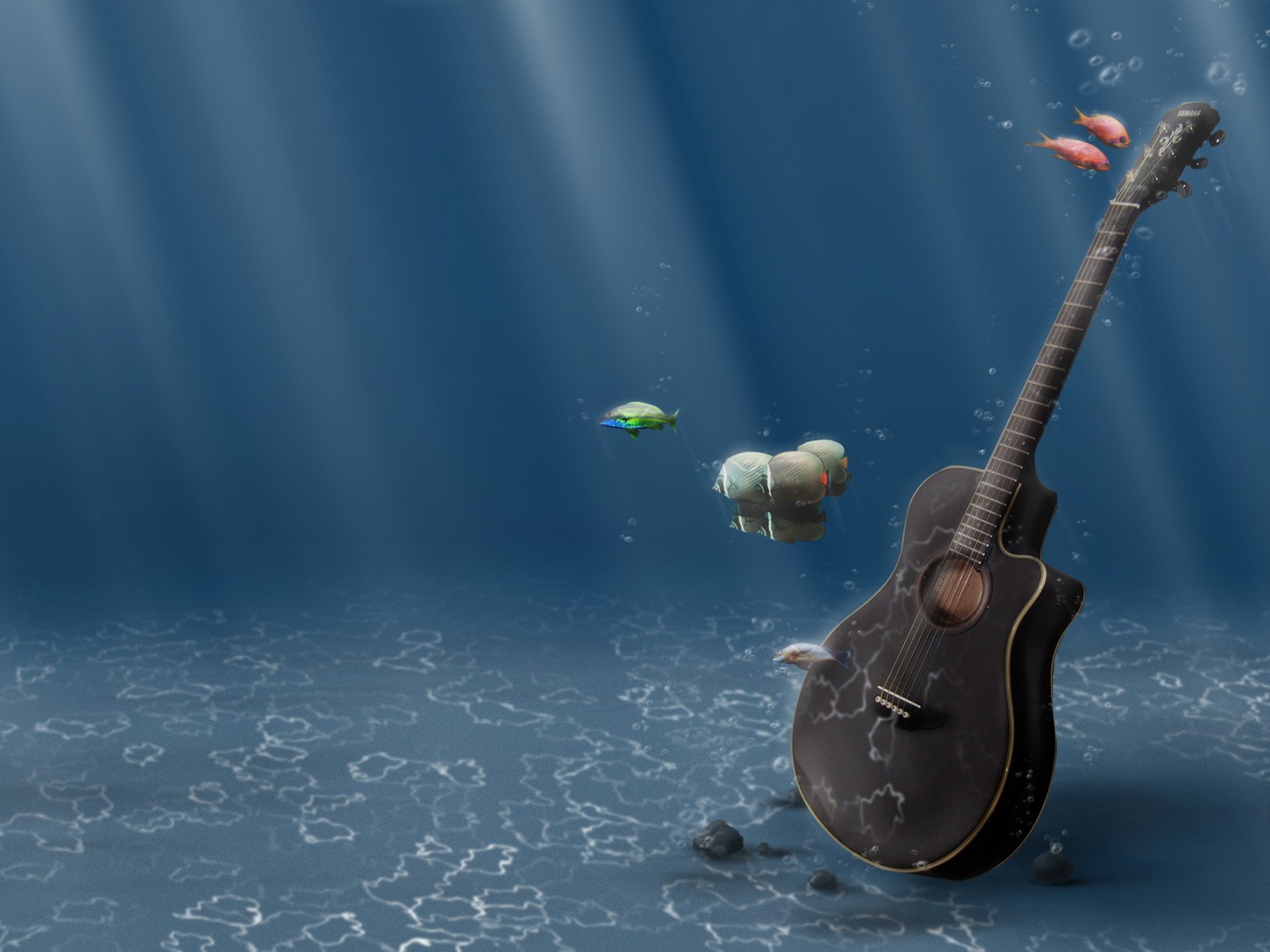 guitarra agua peces