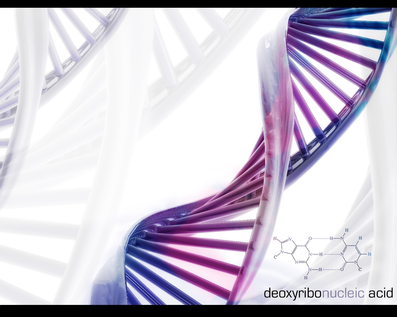 dna formel wissenschaft