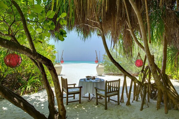 Table confortable parmi les palmiers aux Maldives