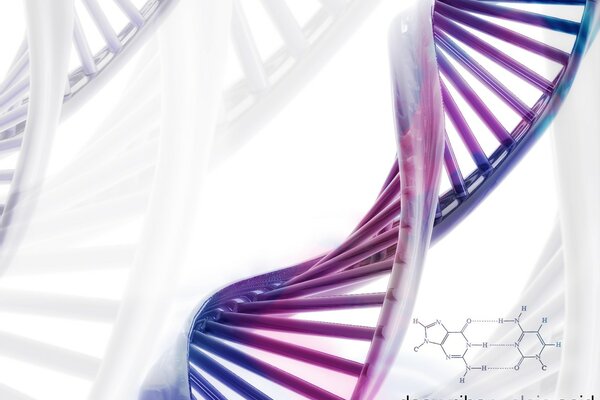 Dna Formula gene science