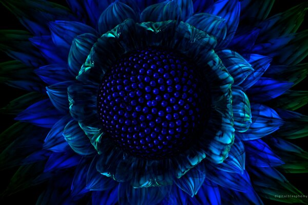 Graphic image of a blue flower