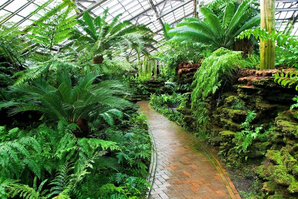 Fotografía de plantas en el Jardín botánico