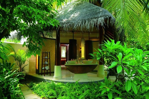 Luxury vacation among palm trees and shrubs