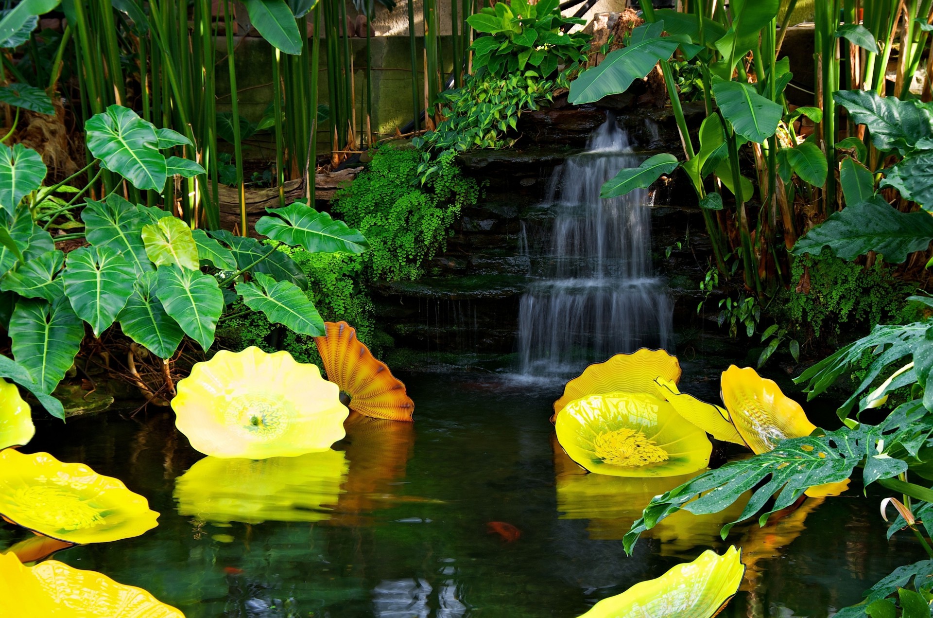 paisaje cascada estanque agua parque plantas