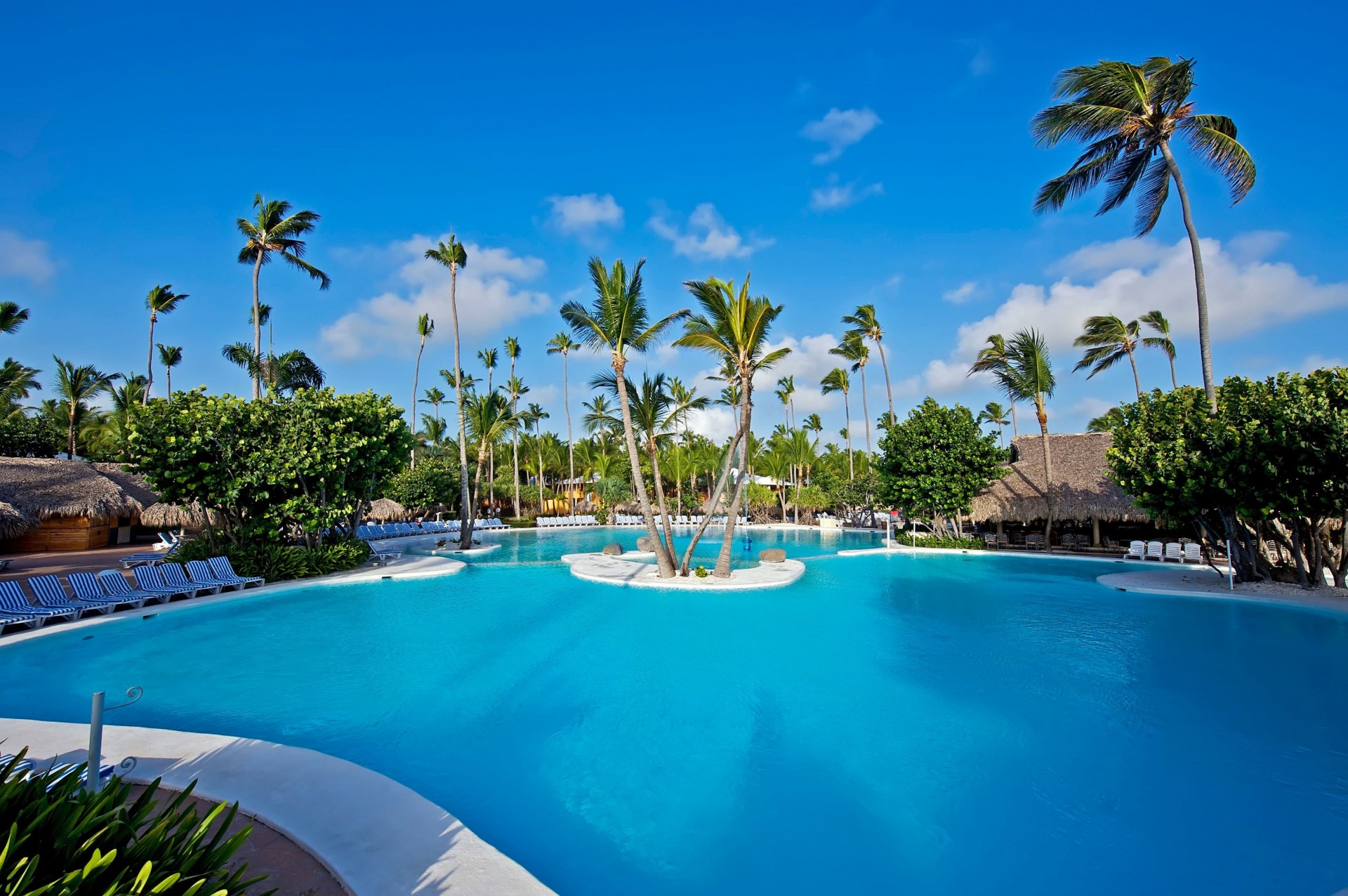 palm bungalow pool external