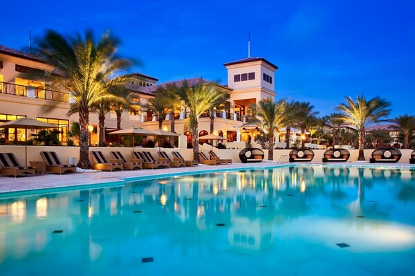 Hotel by the sea. Palm trees by the pool