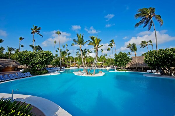 Enorme piscina con palmeras cerca del Bungalow