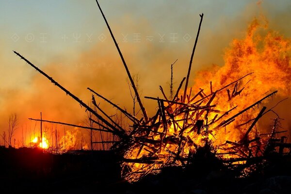 Sticks burn in a big fire