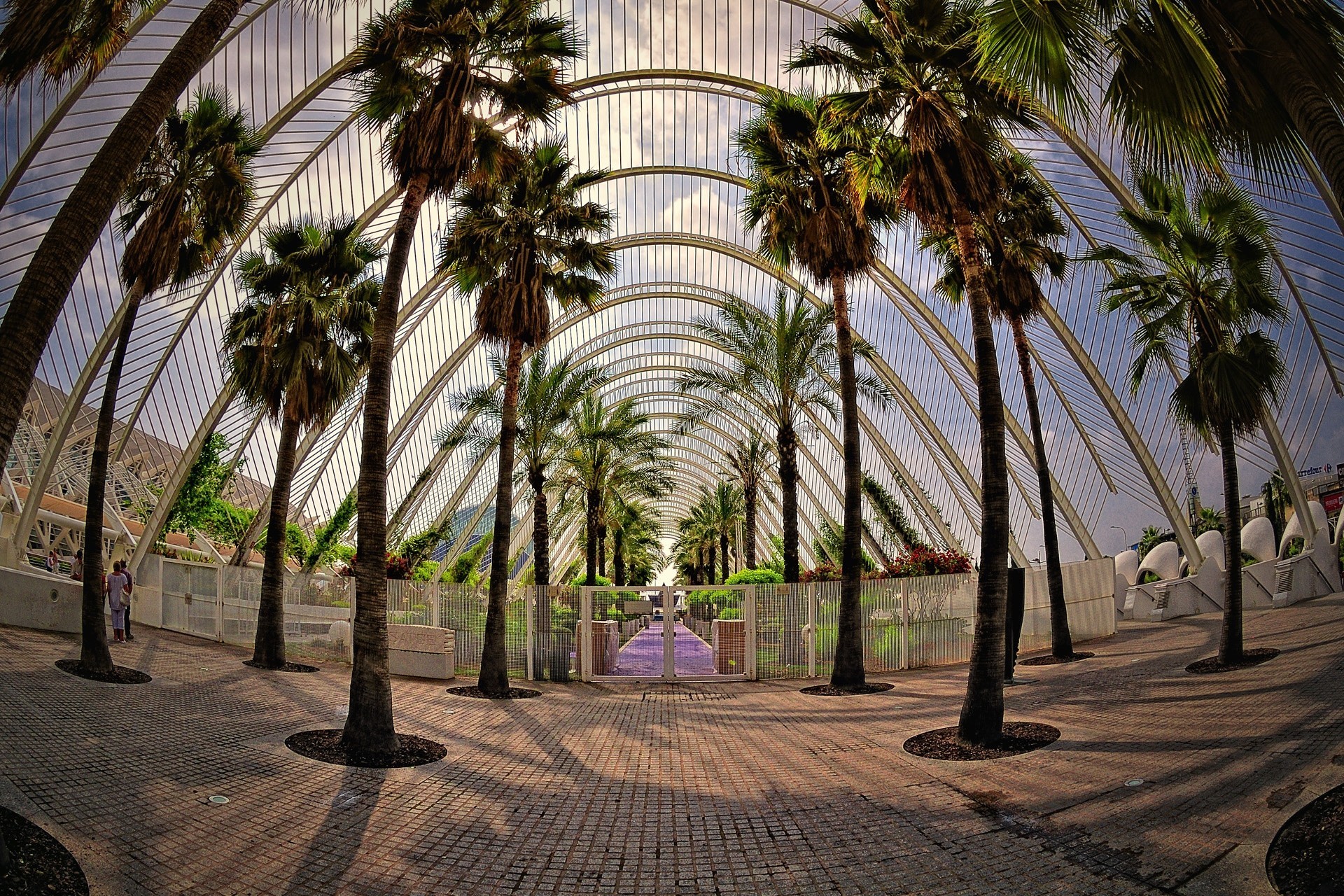 giardino valencia spagna