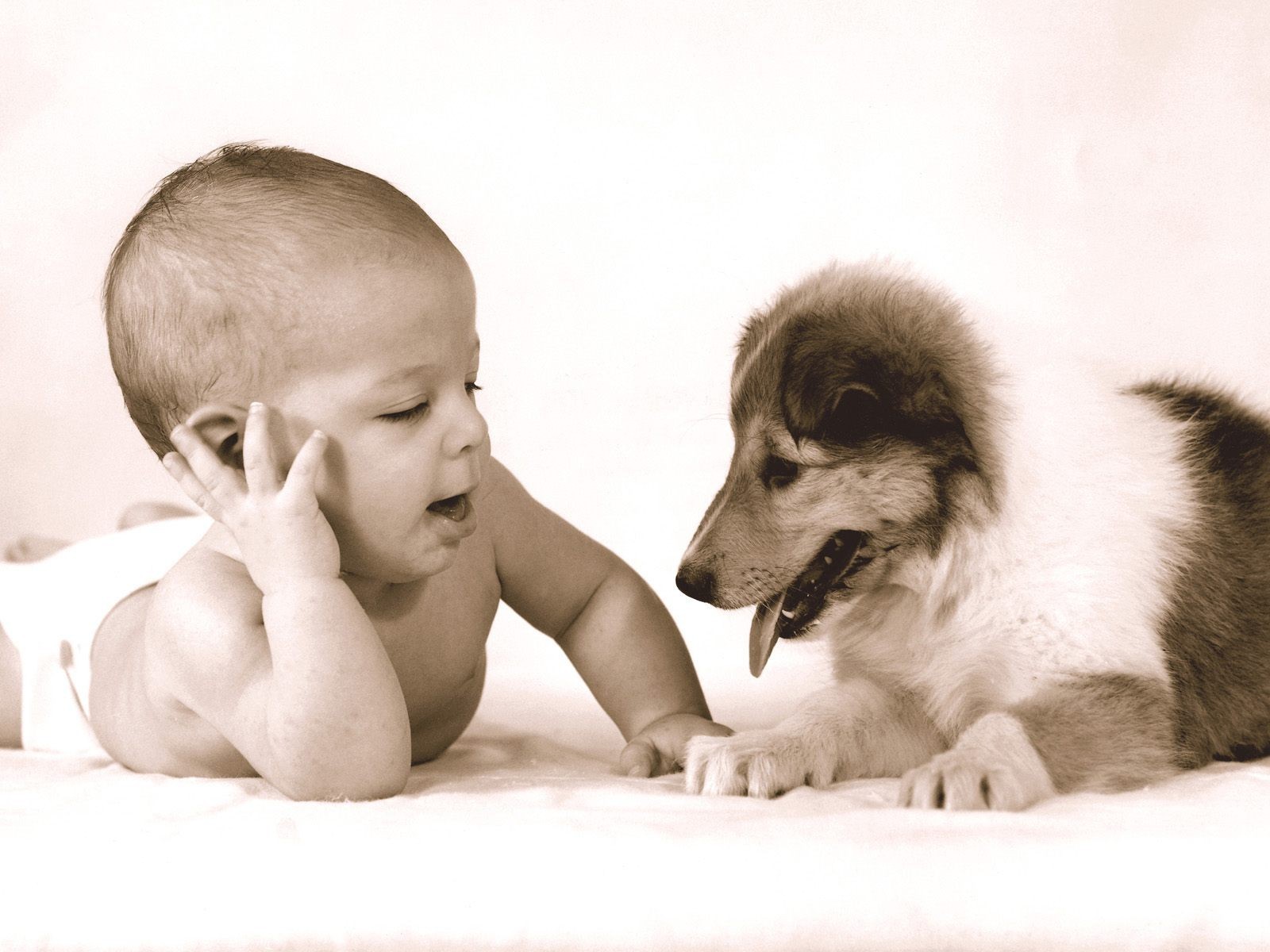 chien bébé enfant enfants