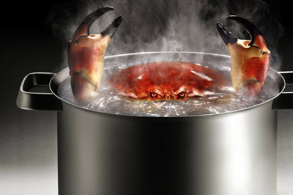 Gros crabe dans une casserole bouillante