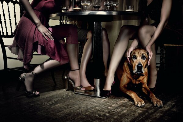 A dog under a table where three girls are sitting