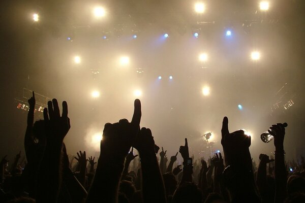 Raised hands at a concert photo