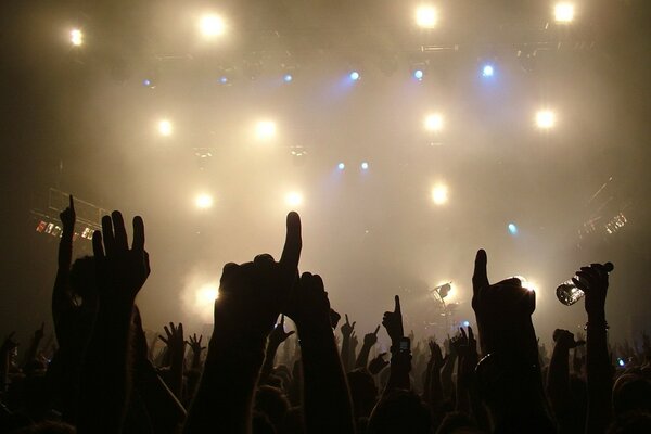 Mani alzate in concerto foto