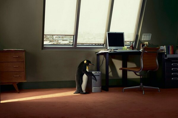 Pingüino al lado del Escritorio de la computadora debajo de la ventana