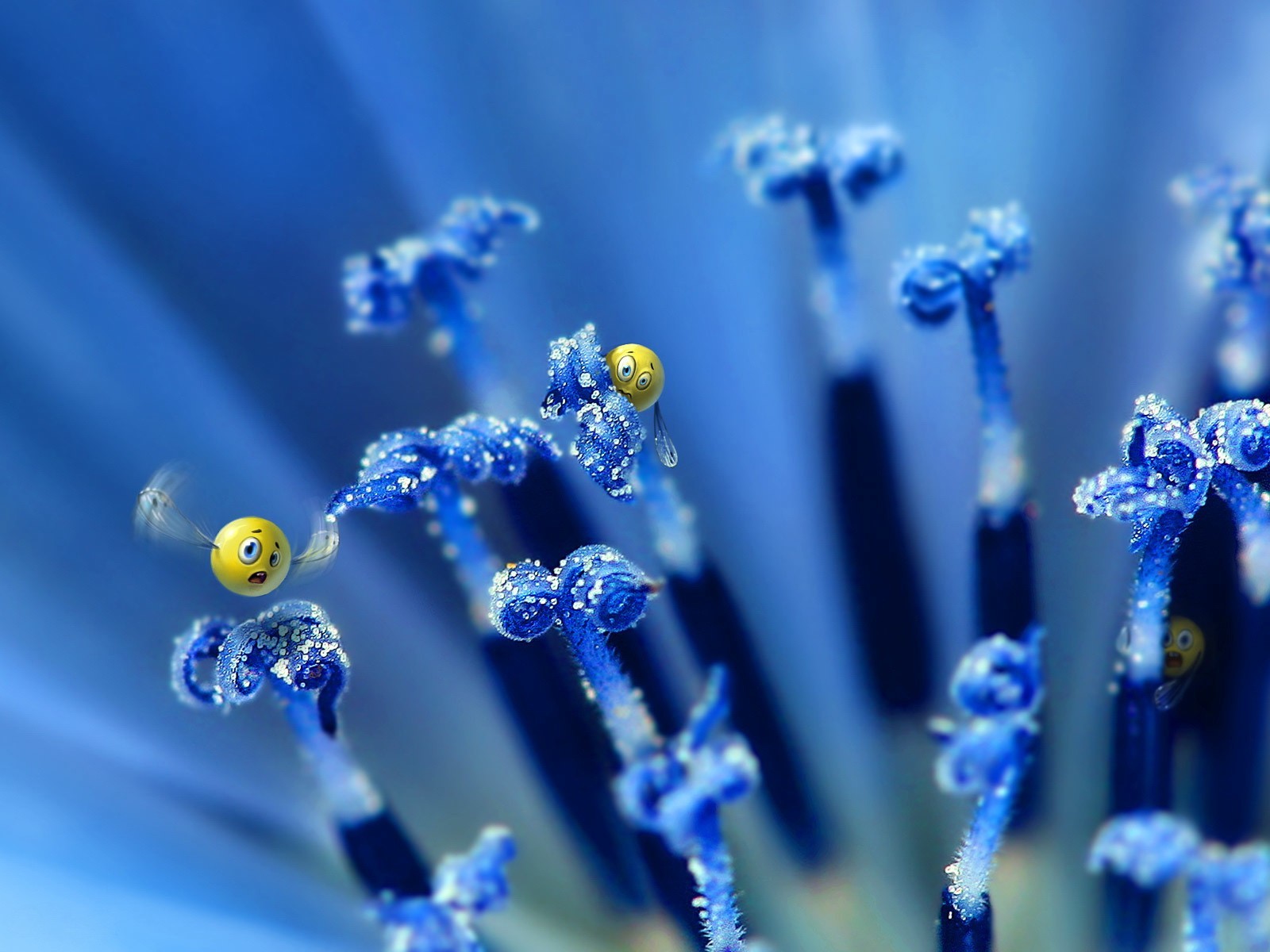 sonrisas flor azul