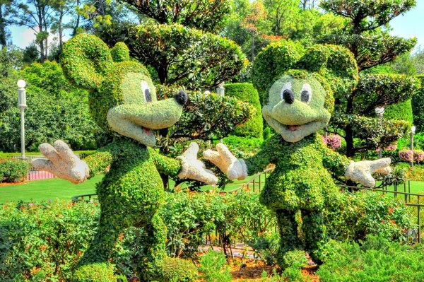 A park in the magic kingdom