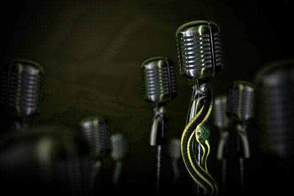 A green snake wraps around the microphone