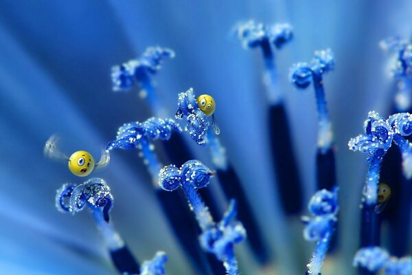 Las sonrisas se sientan en las flores azules