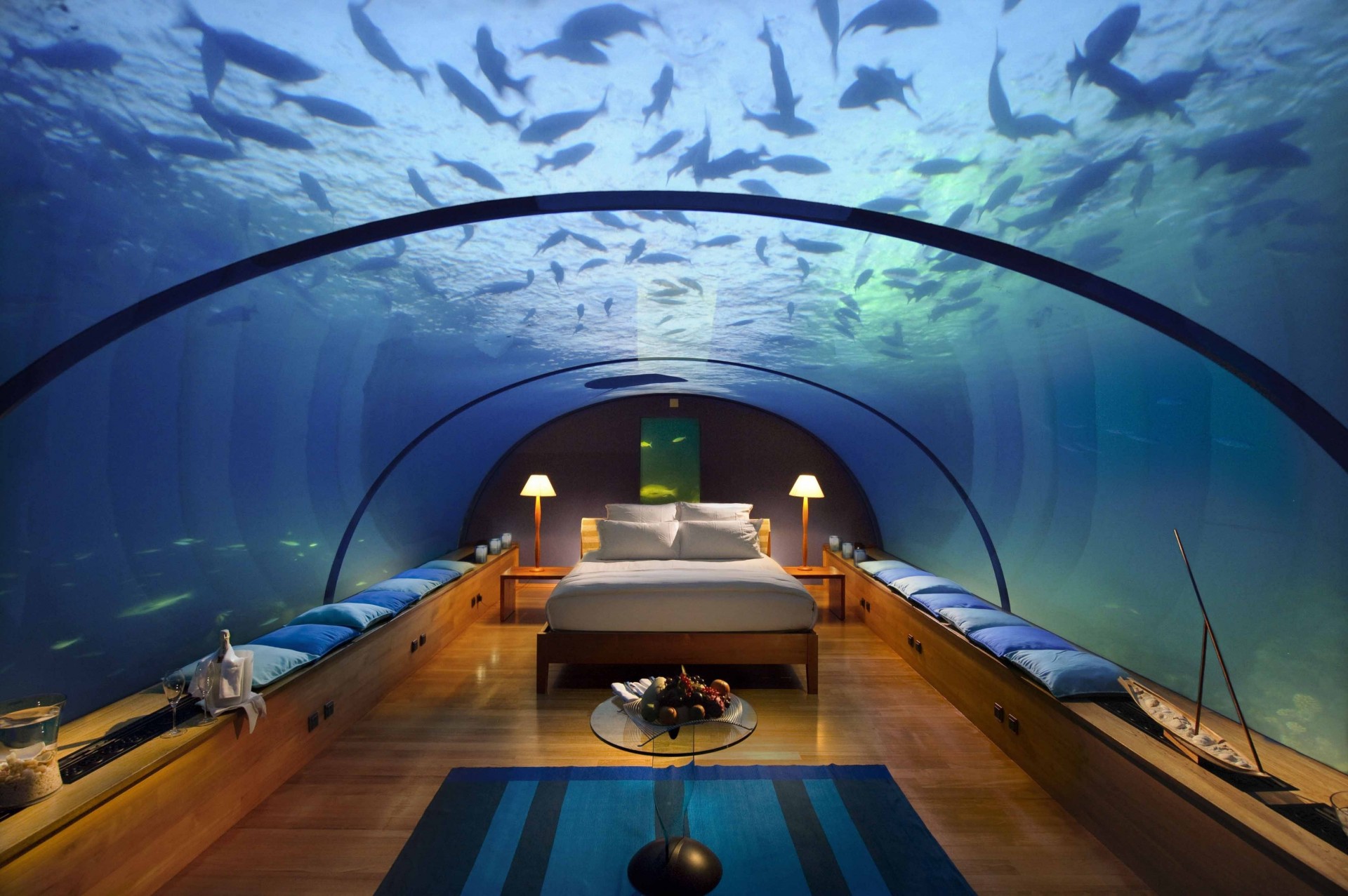 acuario habitación salón