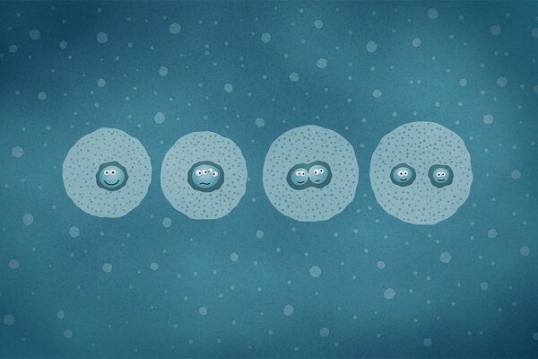 Blue cell division