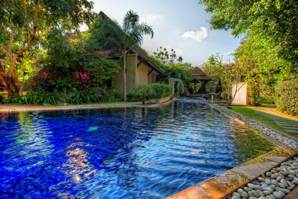 Outdoor pool in the backyard